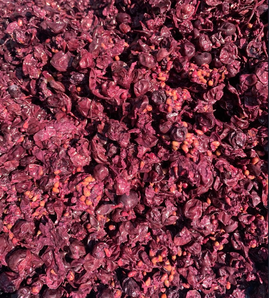 planet-of-the-grapes.png
